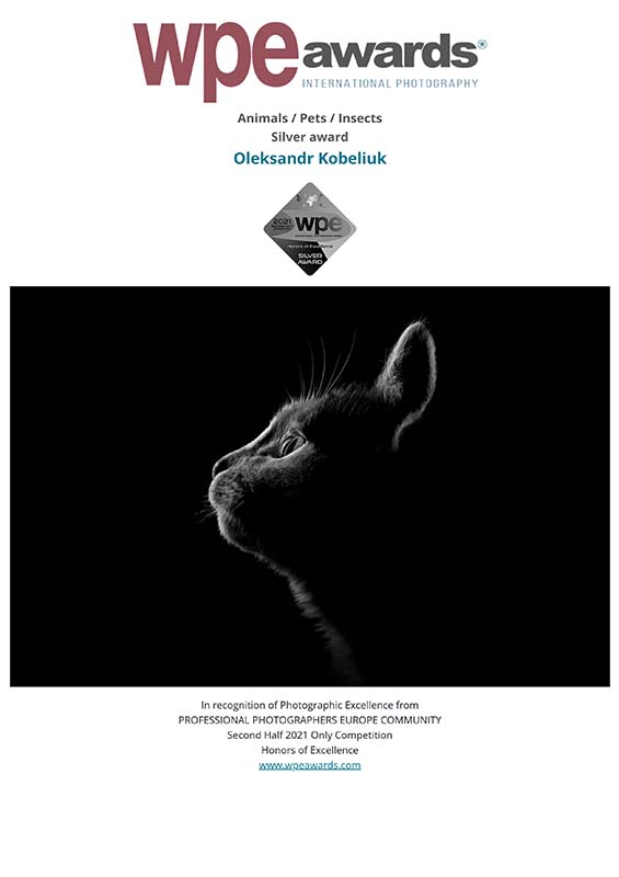 WPE - International Photographers Awards - Certificate delivered to Oleksandr Kobeliuk 2021