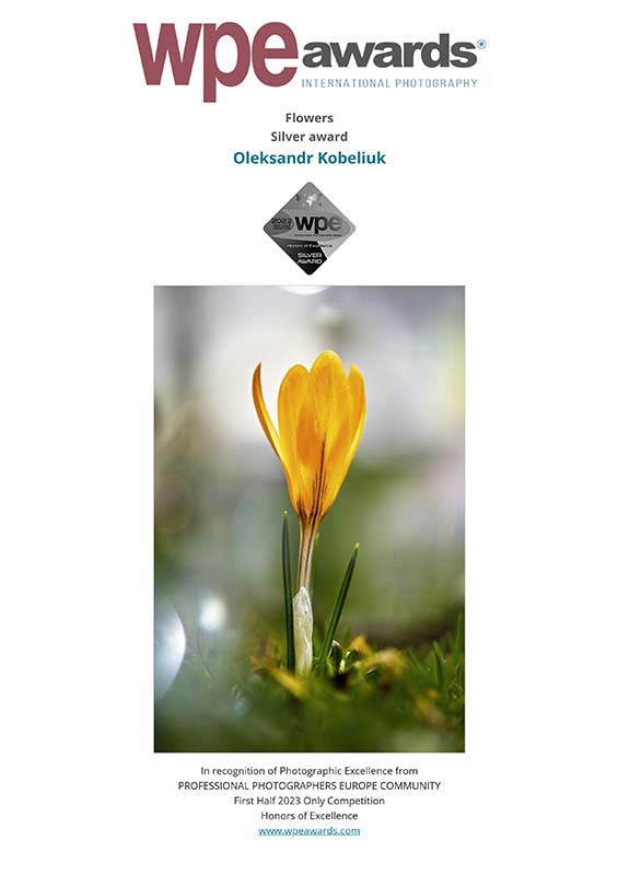 WPE - International Photographers Awards - Certificate delivered to Oleksandr Kobeliuk 2023