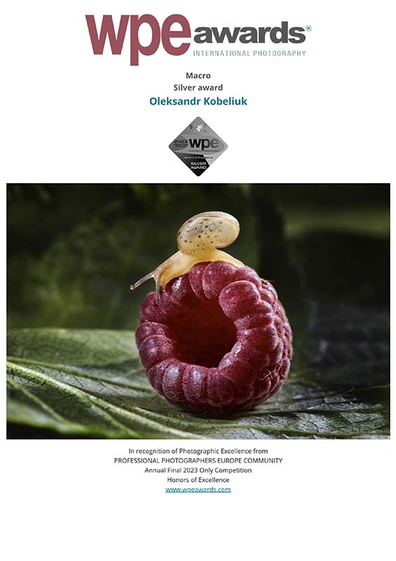 WPE - International Photographers Awards - Certificate delivered to Oleksandr Kobeliuk 2023