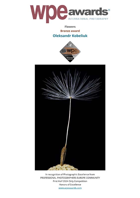 WPE - International Photographers Awards - Certificate delivered to Oleksandr Kobeliuk 2024