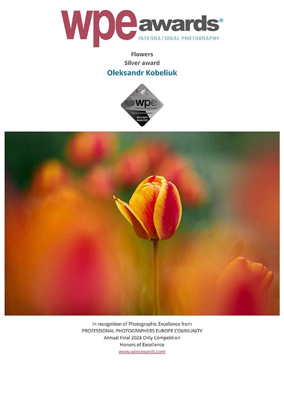 WPE - International Photographers Awards - Certificate delivered to Oleksandr Kobeliuk 2024