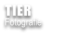 TIERFOTOGRAFIE
