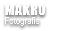 MAKROFOTOGRAFIE