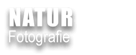 NATURFOTOGRAFIE