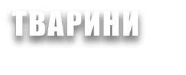 ТВАРИНИ