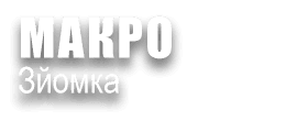 МАКРОЗЙОМКА